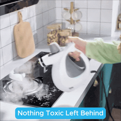 LusterKleen™ Pressurized Steamer +4 Free Gifts